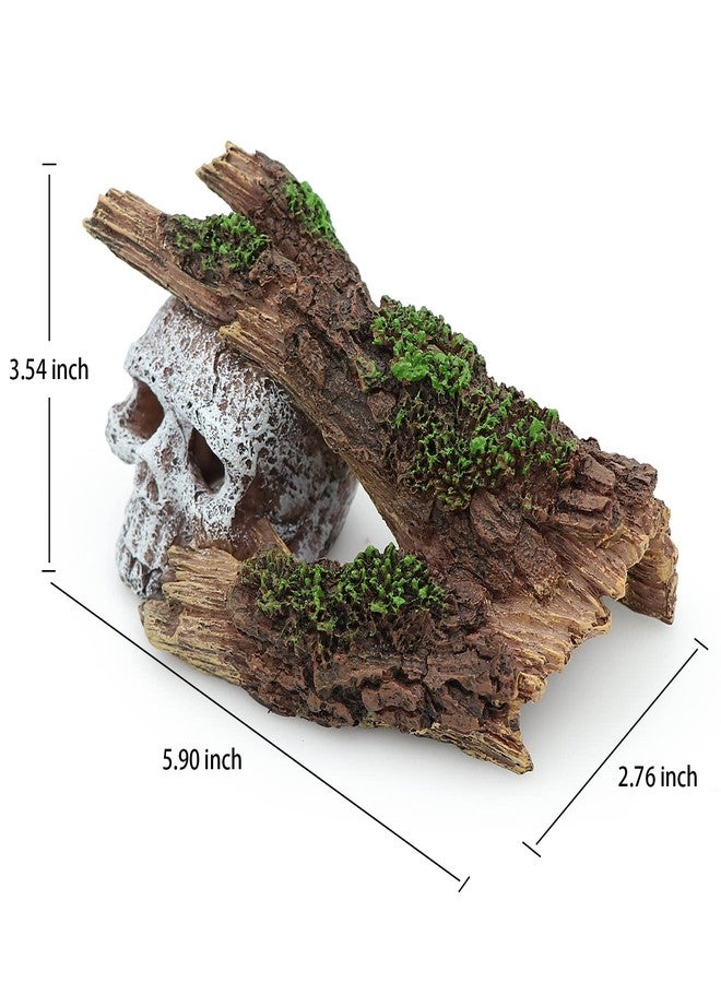AQUA KT Aquarium Landscape Skeleton Head Skull with Tree Branch for Betta Cichlid Fish Hiding Rock Aquatic Decoration - Image 5